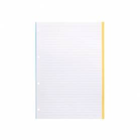 Recambio liderpapel a4 100 hojas 100g/m2 rayado horizontal 4 taladros bandas de 5 colores antartik