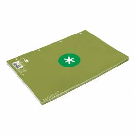 Recambio liderpapel a4 antartik 80 hojas 90g/m2 cuadro 5mm 4 taladros 1 banda con marco color verde