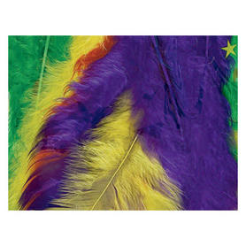 Plumas de pavo bolsa 7 gr colores surtidos