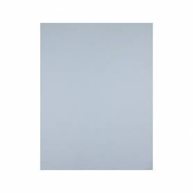 Cartulina liderpapel 50x65 cm 180 gr gris paquete de 25 hojas