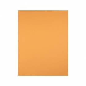 Cartulina liderpapel 50x65 cm 180 gr avellana paquete de 25 hojas