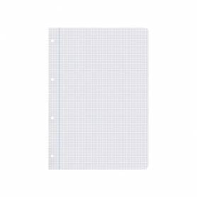 Recambio liderpapel a4 100 hojas 100g/m2 cuadro 4mm con margen 4 taladros