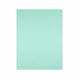 Cartulina liderpapel 50x65 cm 240g/m2 verde