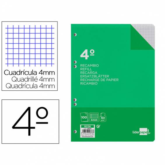 Recambio liderpapel cuarto 100 hojas 60g/m2 cuadro 4mm con margen 6 taladros