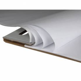 Bloc congreso liderpapel liso 630x840 mm 50 hojas 80g/m2