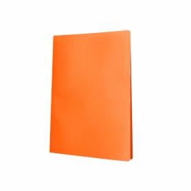 Carpeta liderpapel escaparate 10 fundas polipropileno din a4 naranja fluor opaco