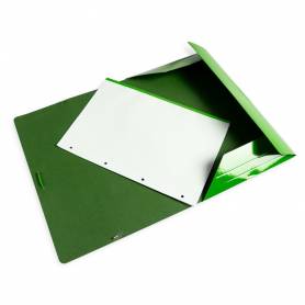 Carpeta liderpapel gomas folio 3 solapas carton plastificado color verde