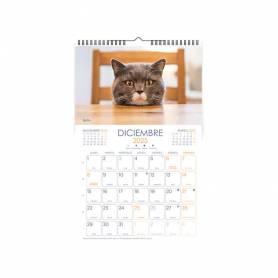 Calendario espiral pared liderpapel imagenes gatos 2025 para escribir 25x40 cm papel 157 gr - 