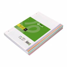 Recambio liderpapel a4 120 hojas 90gr cuadro 5 mm 4 taladros bandas de 5 colores pasteles - RE11