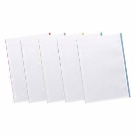 Recambio liderpapel a4 120 hojas 90gr cuadro 5 mm 4 taladros bandas de 5 colores pasteles - RE11