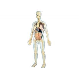 Juego miniland anatomia humana 45 piezas 56 cm