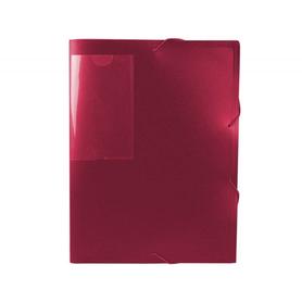 Carpeta Clasificador Carton Compacto Saro Folio Azul -12 Departamentos